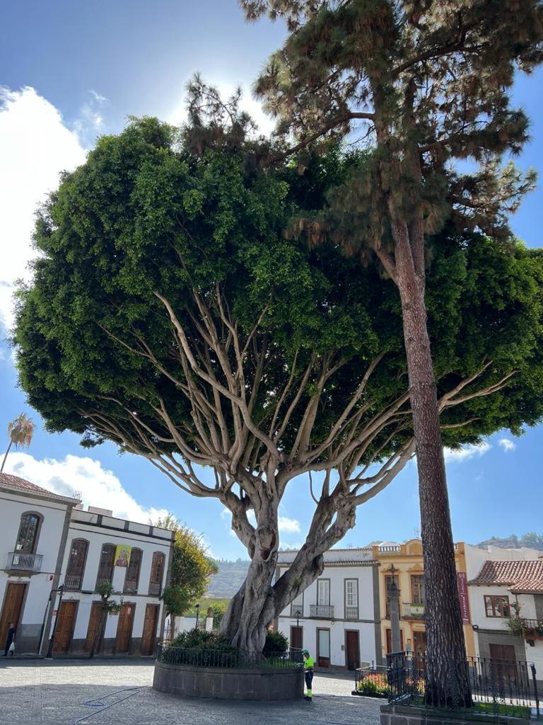 Casa En Teror Centrica Turismo De Ciudad Y Bosques Apartman Kültér fotó